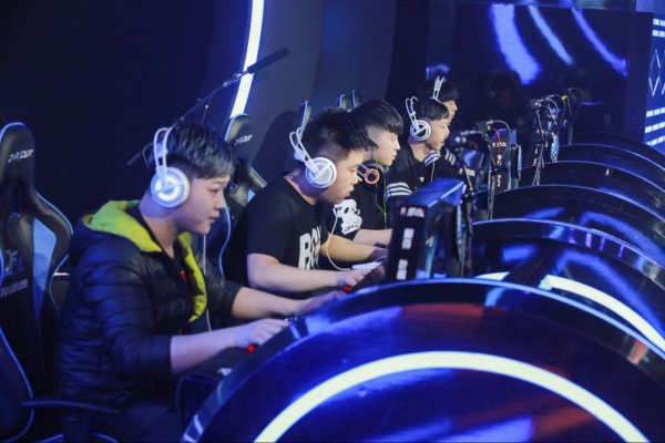 中种下了梦 中种下了梦