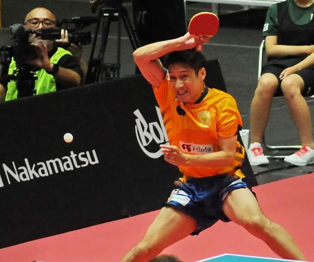 显而易见的 显而易见的