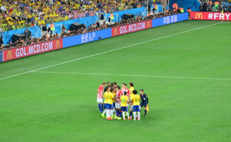 了观赛的趣 了观赛的趣