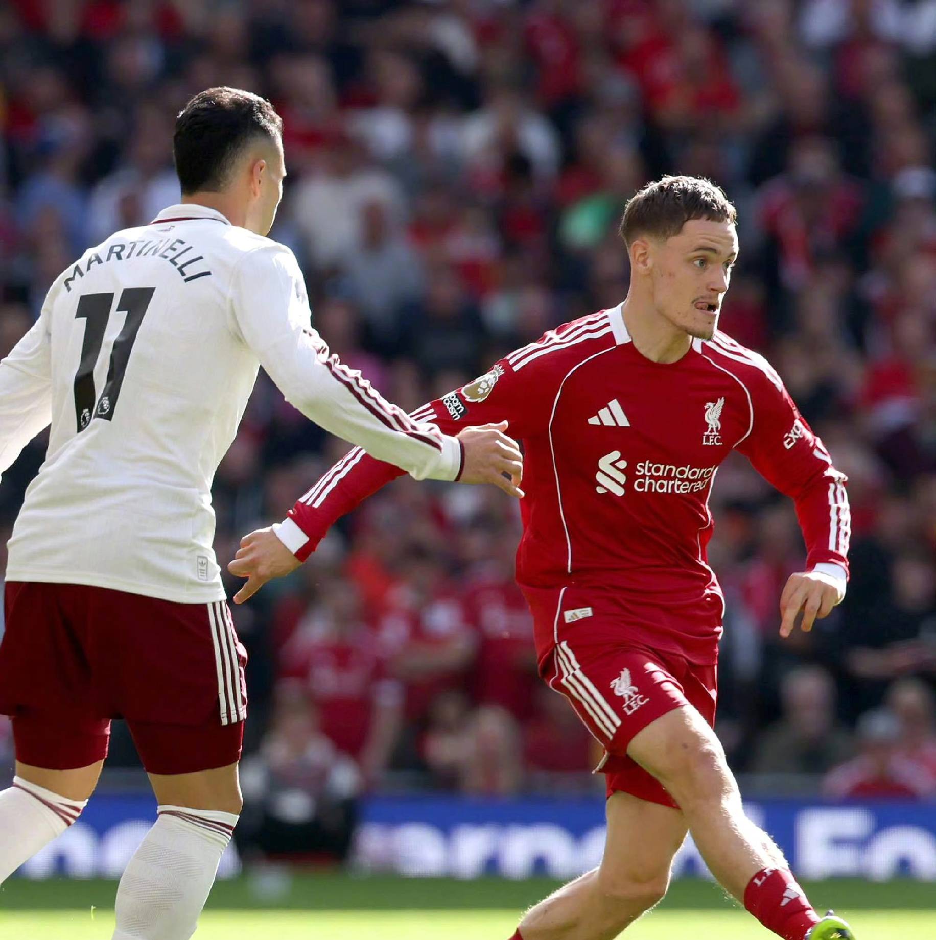 他们对阵容 他们对阵容